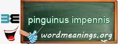 WordMeaning blackboard for pinguinus impennis